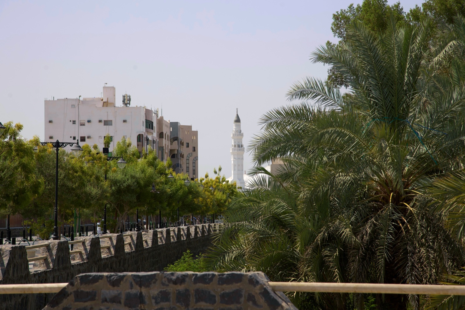 نادي الأنصار امتداد لاسم ارتبط بوجدان أهل المدينة