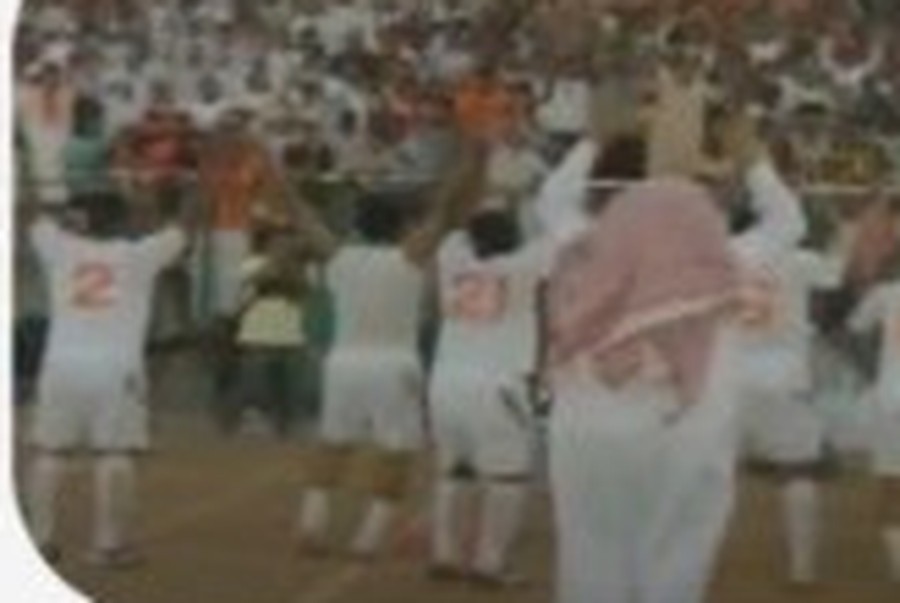 العودة إلى دوري المحترفين